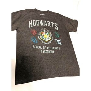 Harry Potter Hogwarts T-Shirt Mens Large School of Witchcraft Wizardry Dark Gray